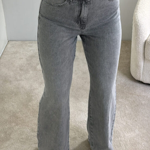 Calças REDIAL_ WIDE LEG _ CINZA